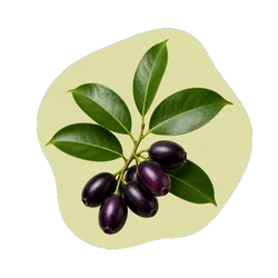 Jamun