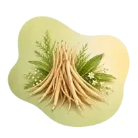 Shatavari