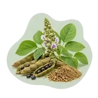 Mucuna Pruriens